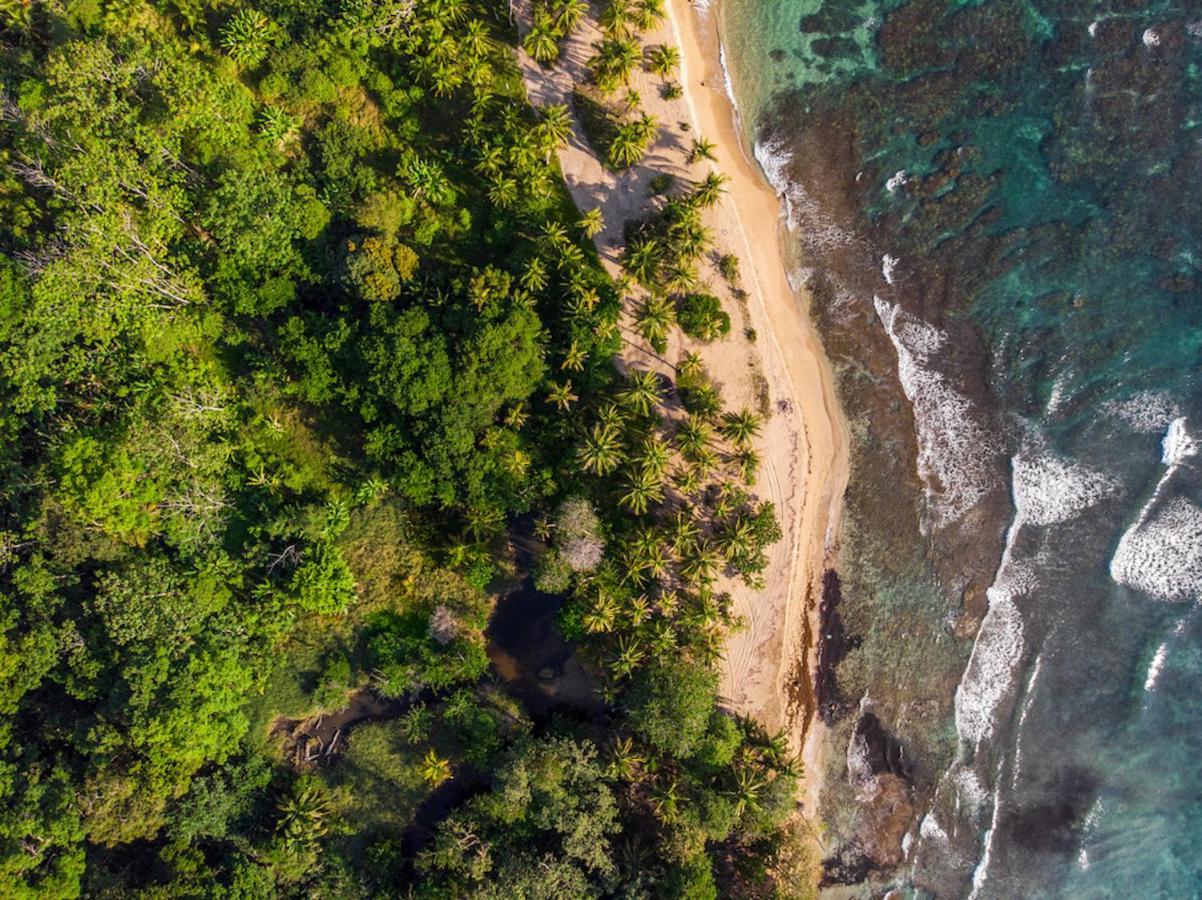 Finca Chica Lodge & Villas Puerto Viejo de Talamanca Экстерьер фото