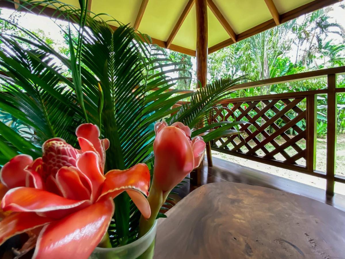 Finca Chica Lodge & Villas Puerto Viejo de Talamanca Экстерьер фото